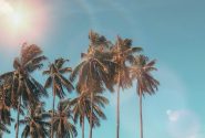 summer-promo