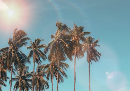summer-promo